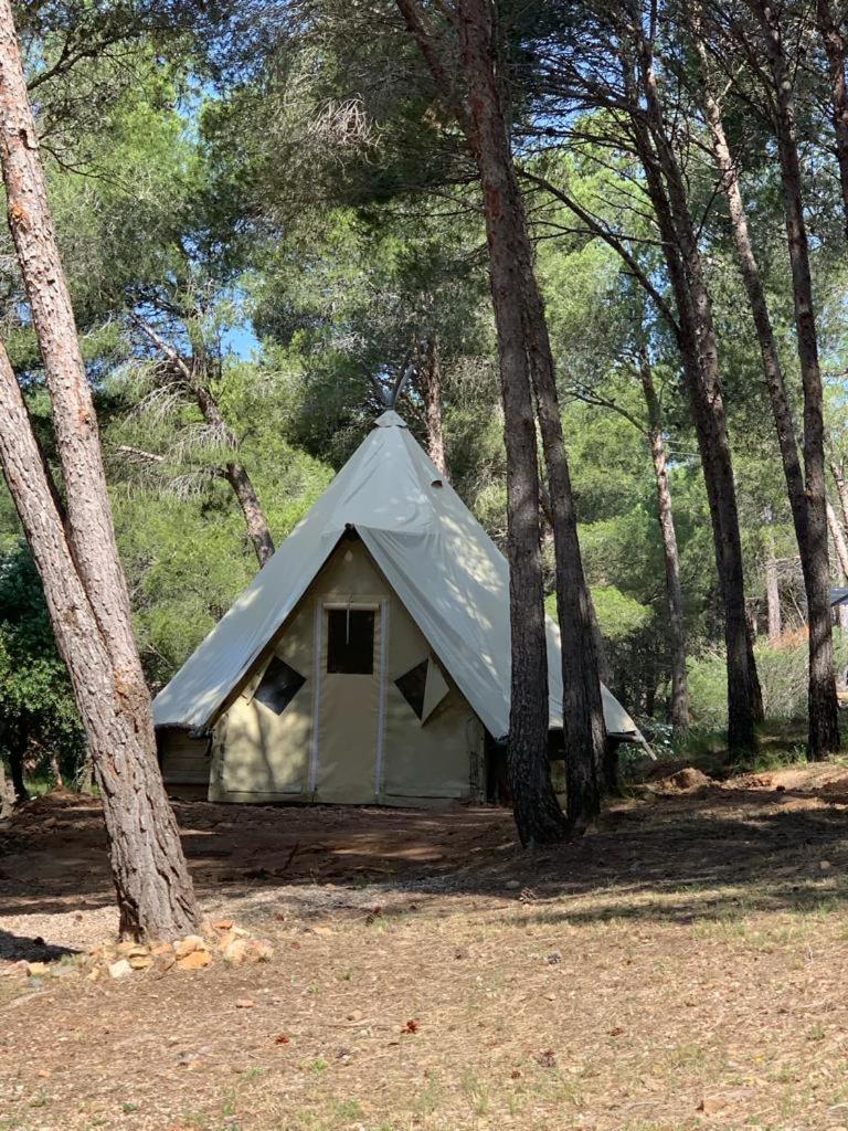 Camping Le Bois De Pins Salses le Chateau Bagian luar foto